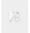 Terre Mini Muris